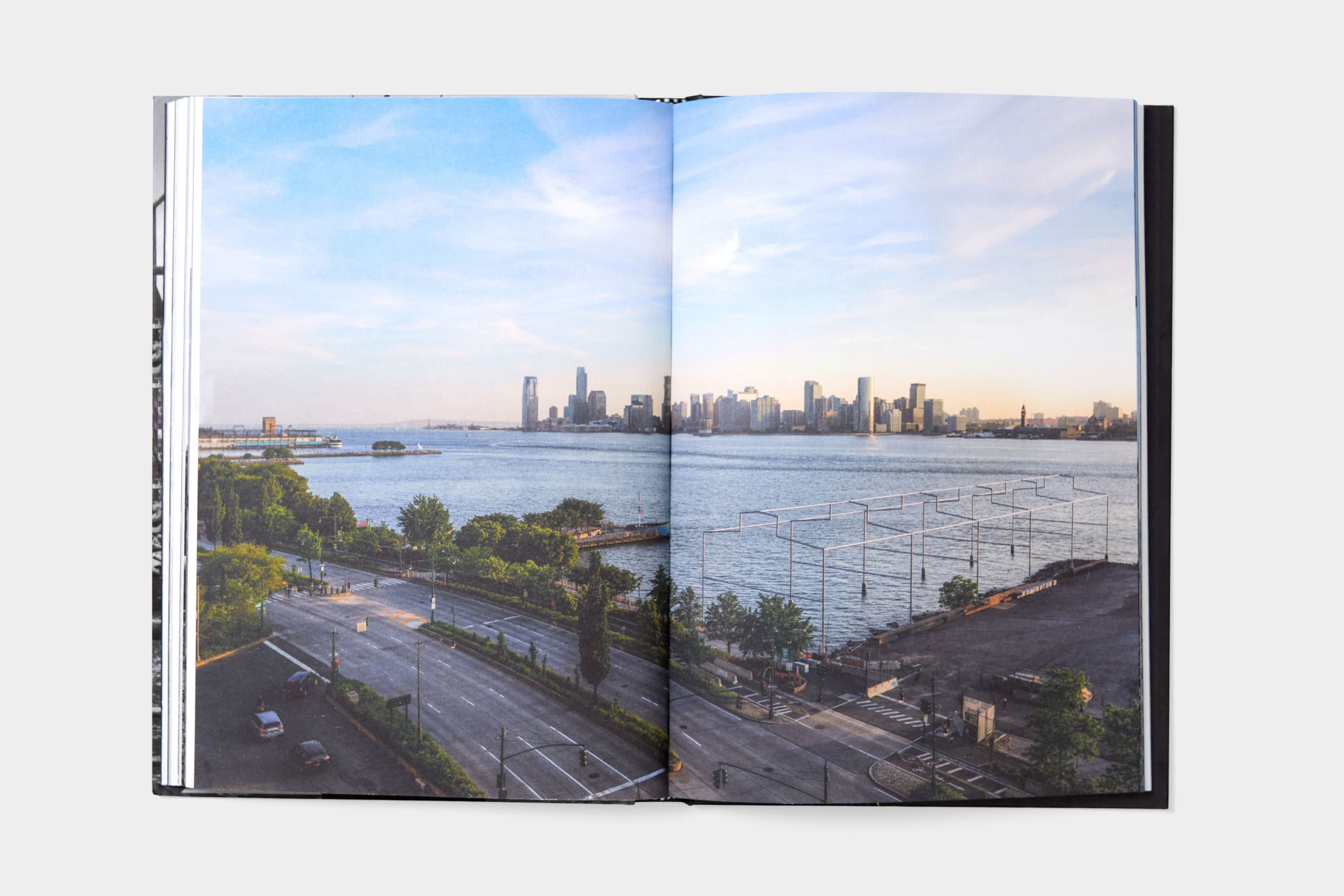 David Hammons: Day's End - image