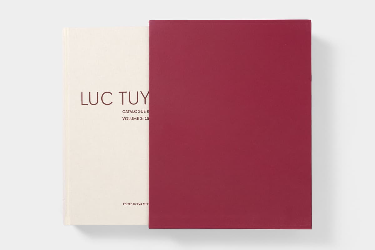 Luc Tuymans: Catalogue Raisonné of Paintings - image