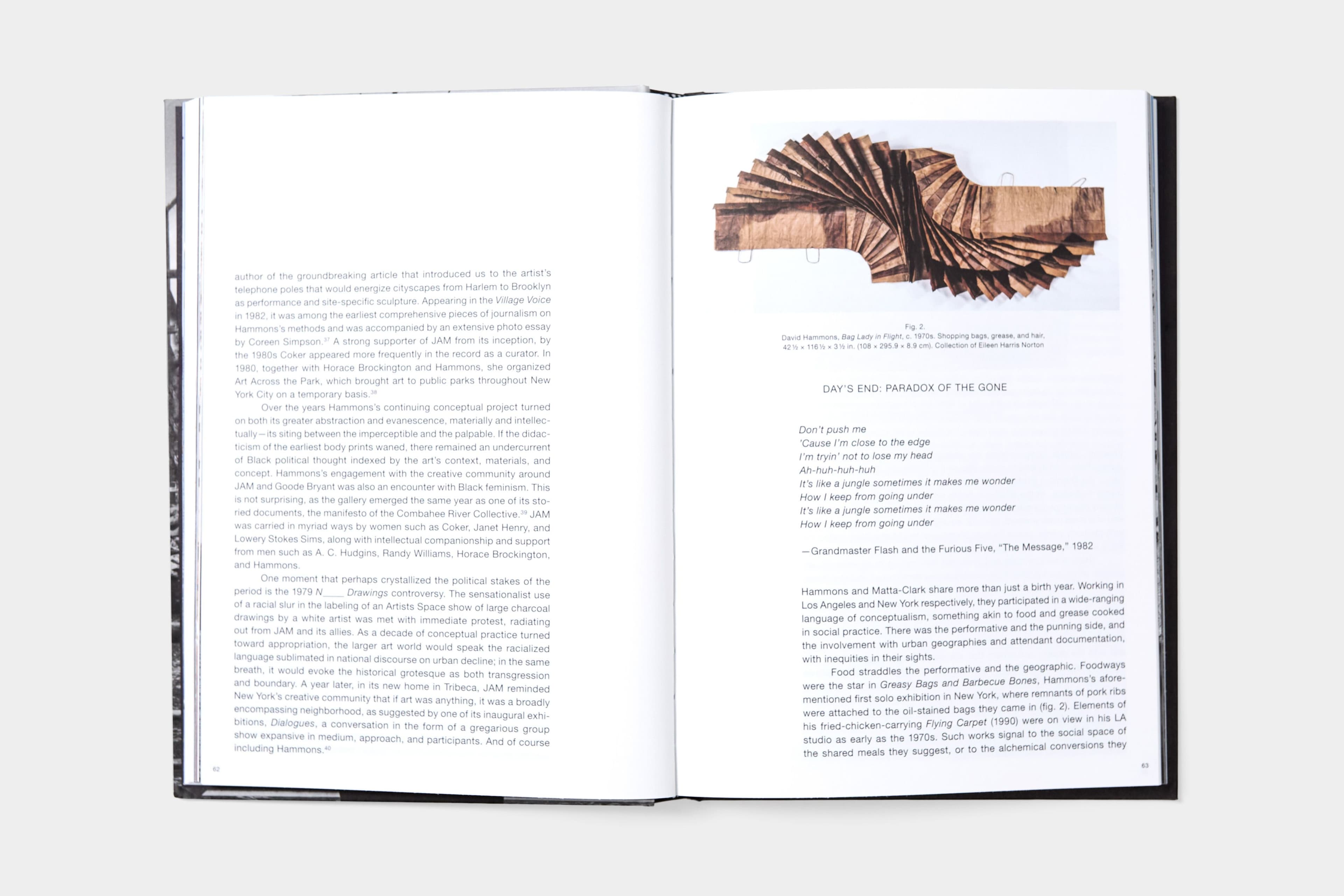 David Hammons: Day's End - image