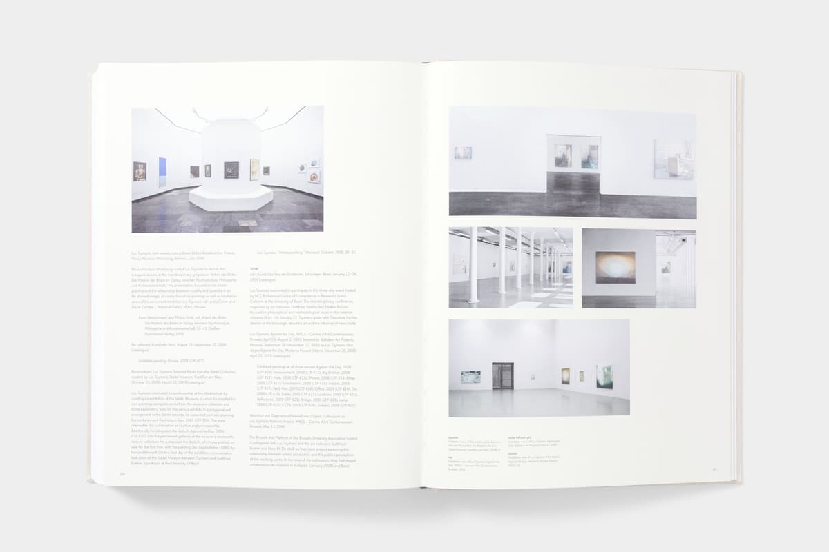 Luc Tuymans: Catalogue Raisonné of Paintings - image