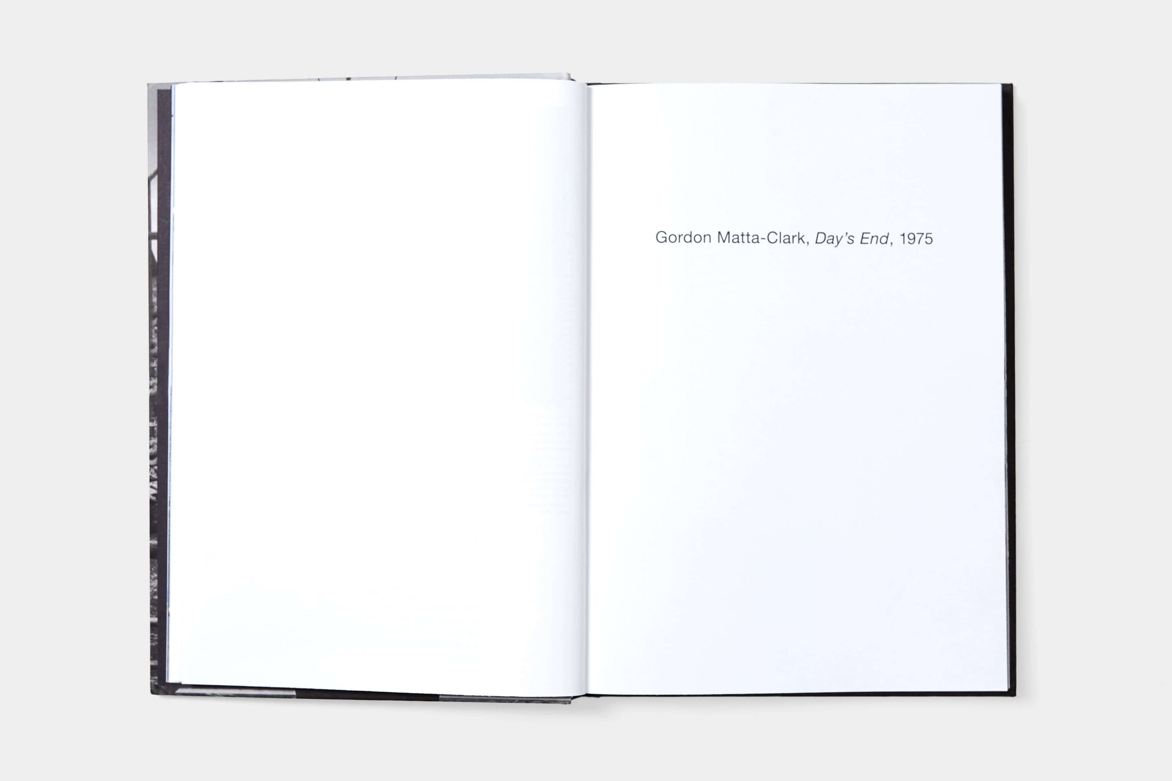 David Hammons: Day's End - image