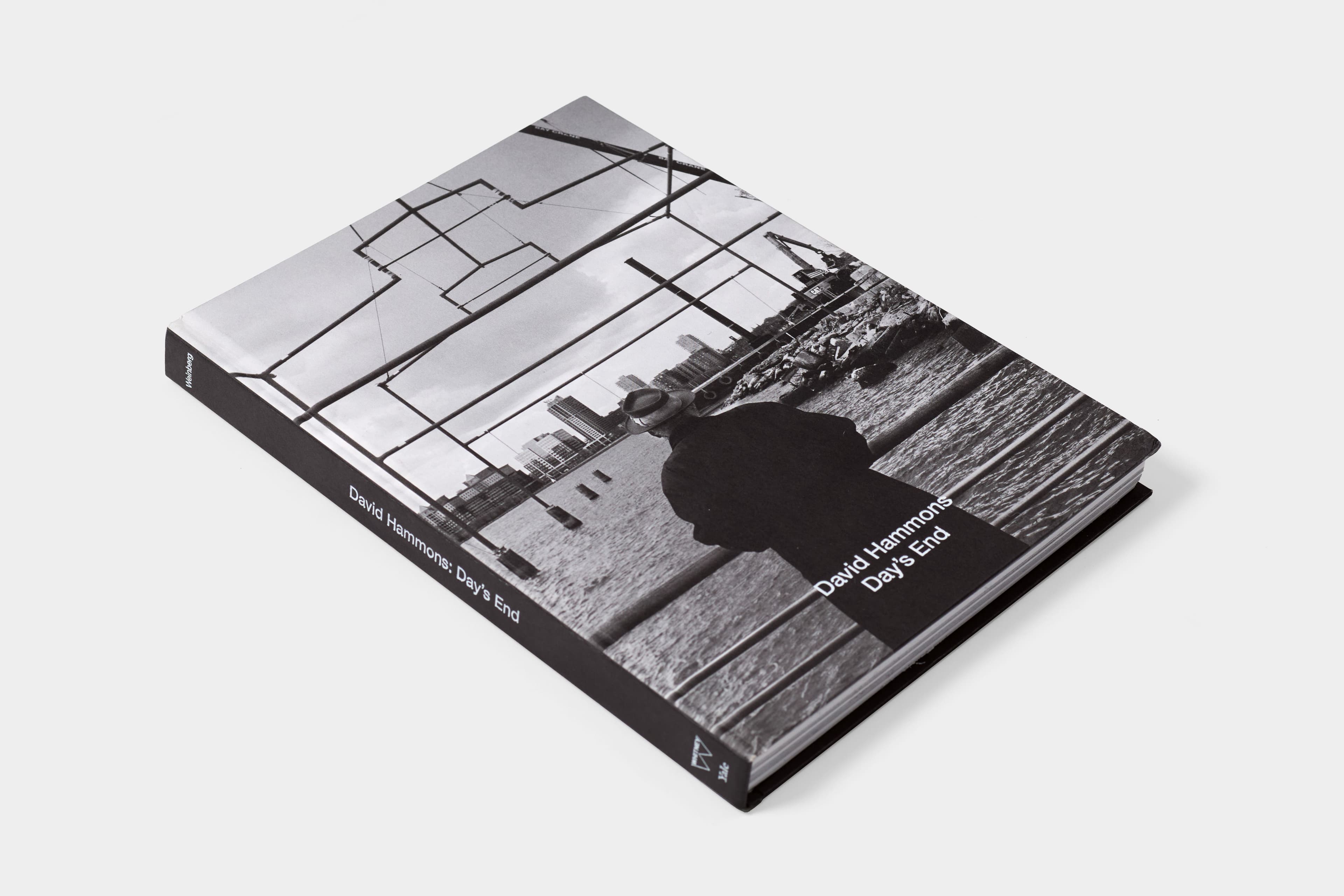 David Hammons: Day's End - image