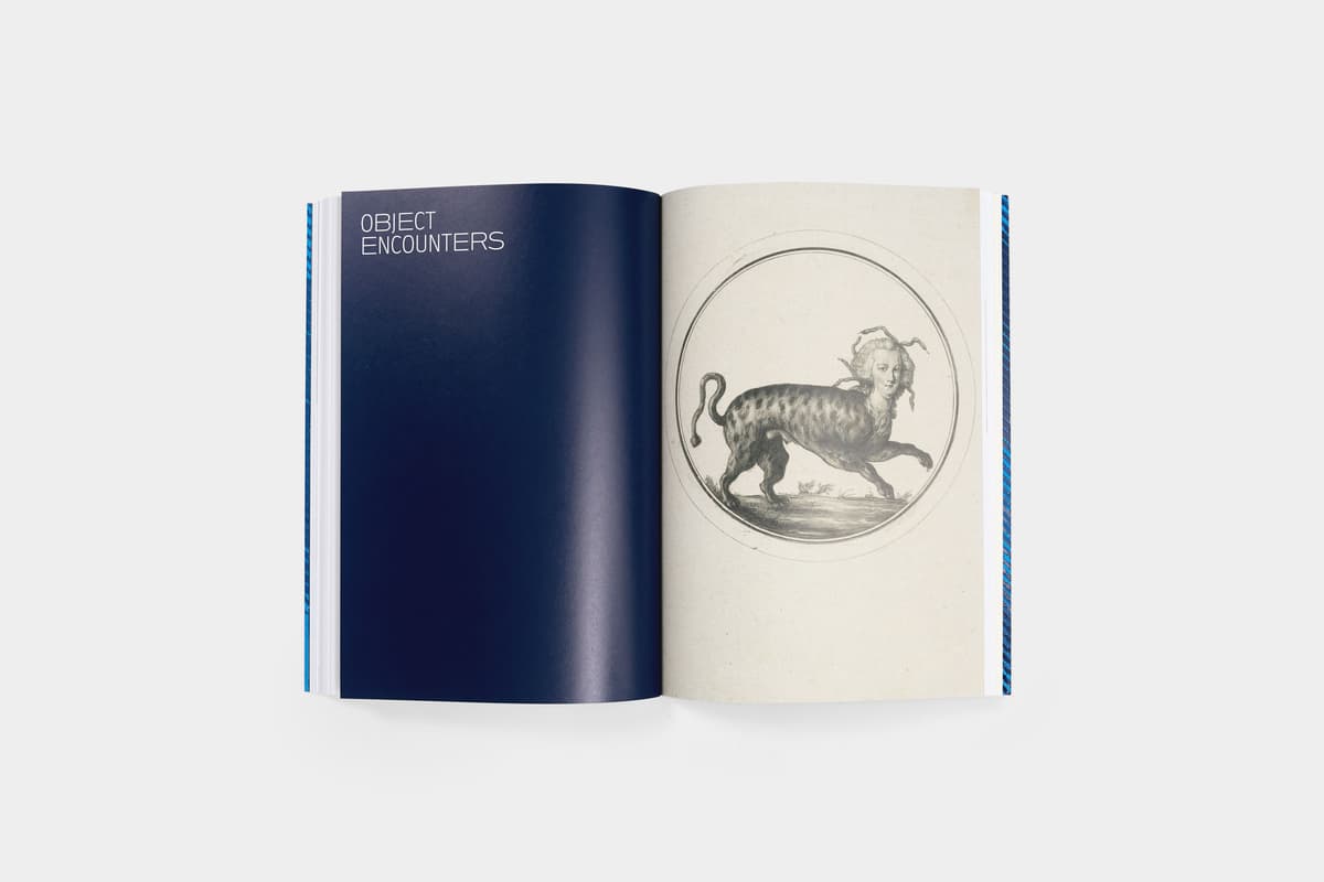 Monstrous Beauty: A Feminist Revision of Chinoiserie - image