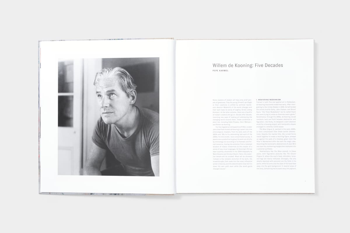 De Kooning: Five Decades - image