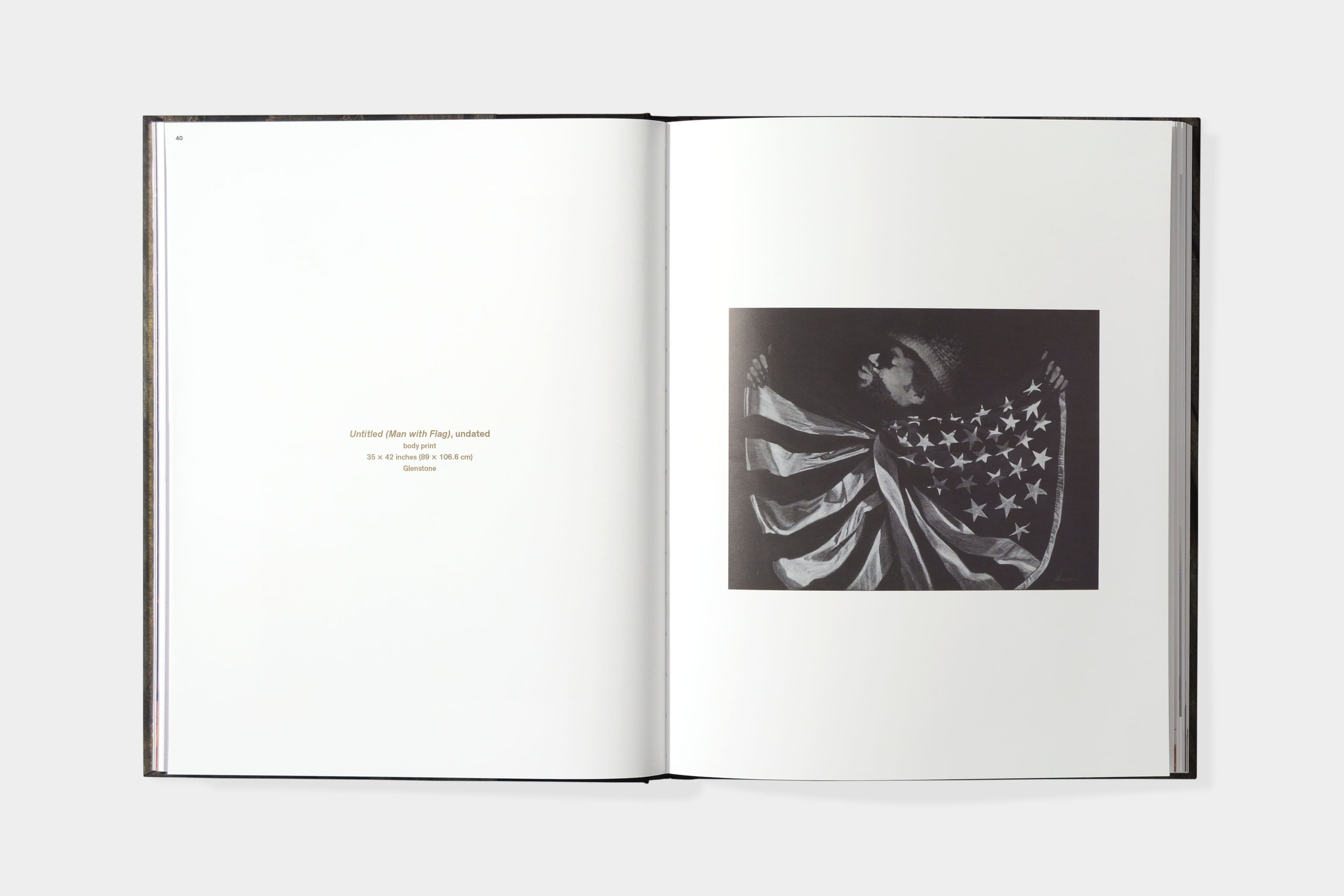 David Hammons: Five Decades - image