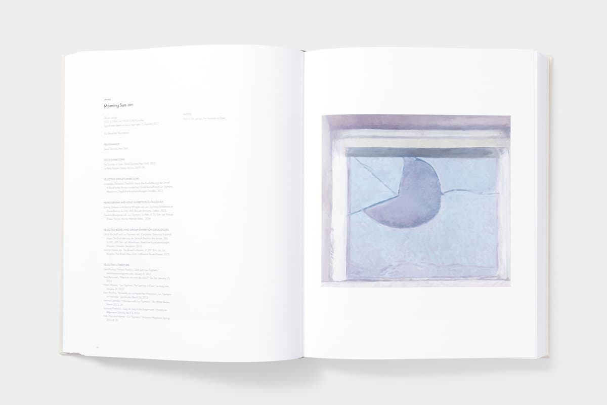 Luc Tuymans: Catalogue Raisonné of Paintings - image