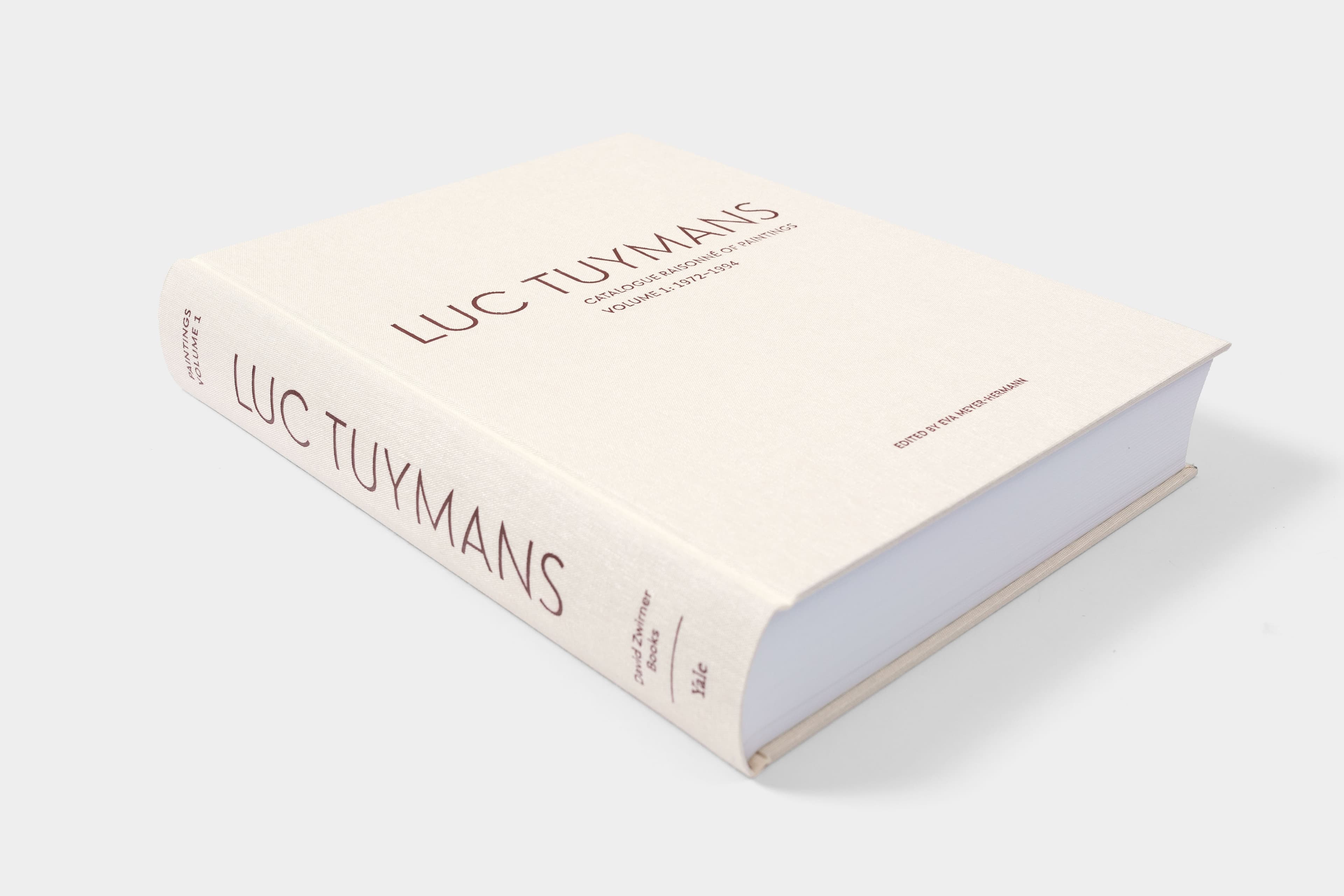 Luc Tuymans: Catalogue Raisonné of Paintings - image
