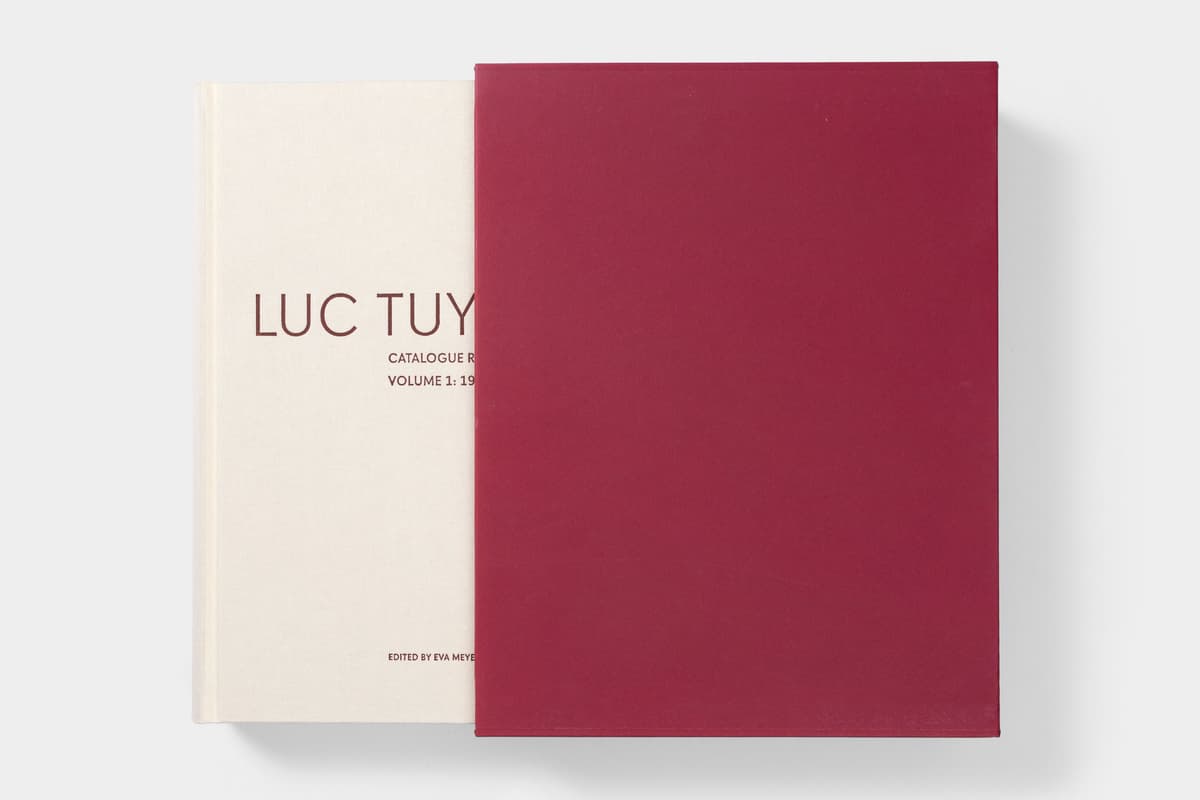 Luc Tuymans: Catalogue Raisonné of Paintings - image