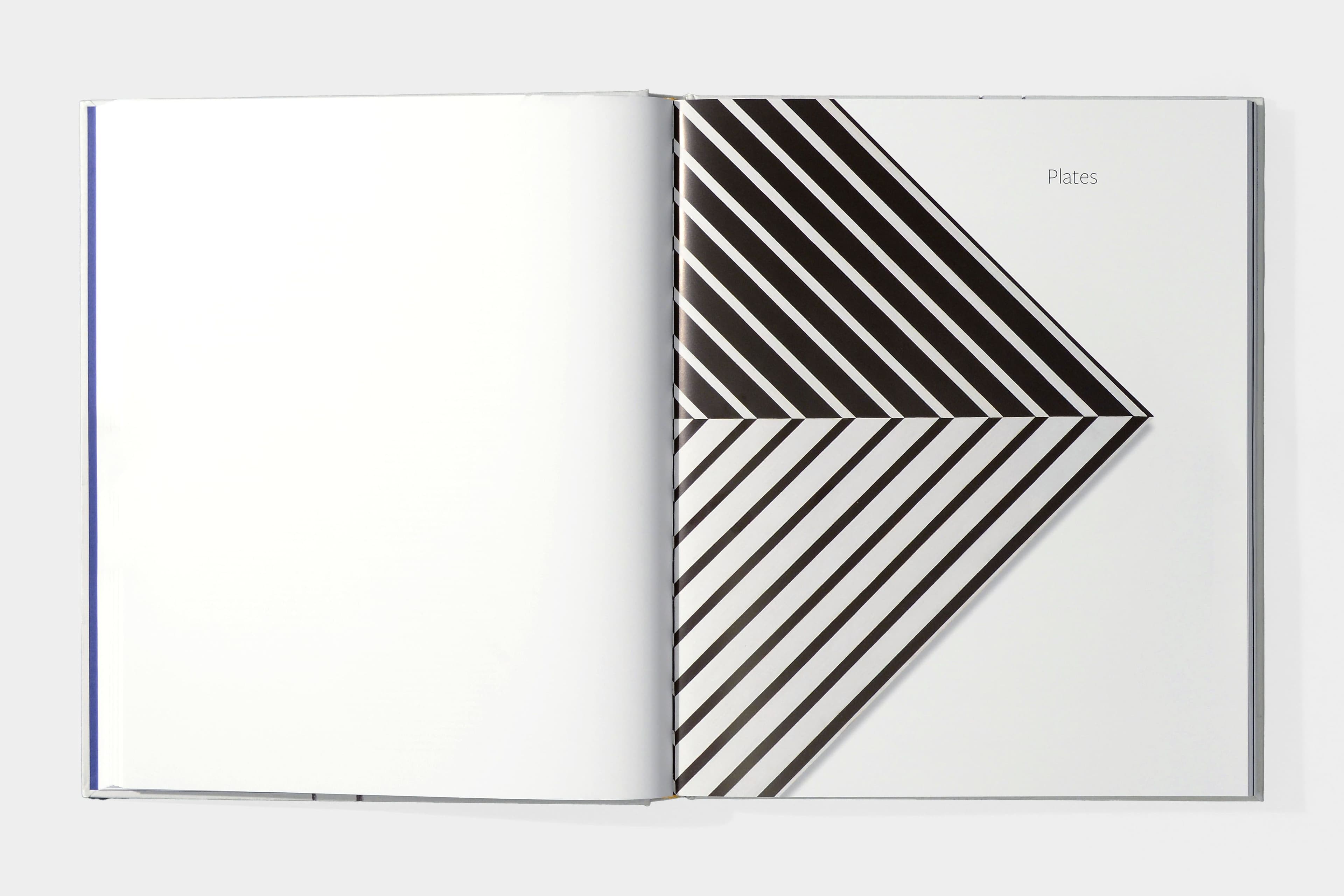 Carmen Herrera: Lines of Sight - image