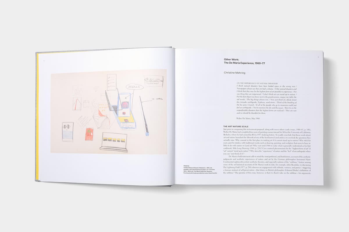 Walter De Maria: The Object, the Action, the Aesthetic Feeling - image