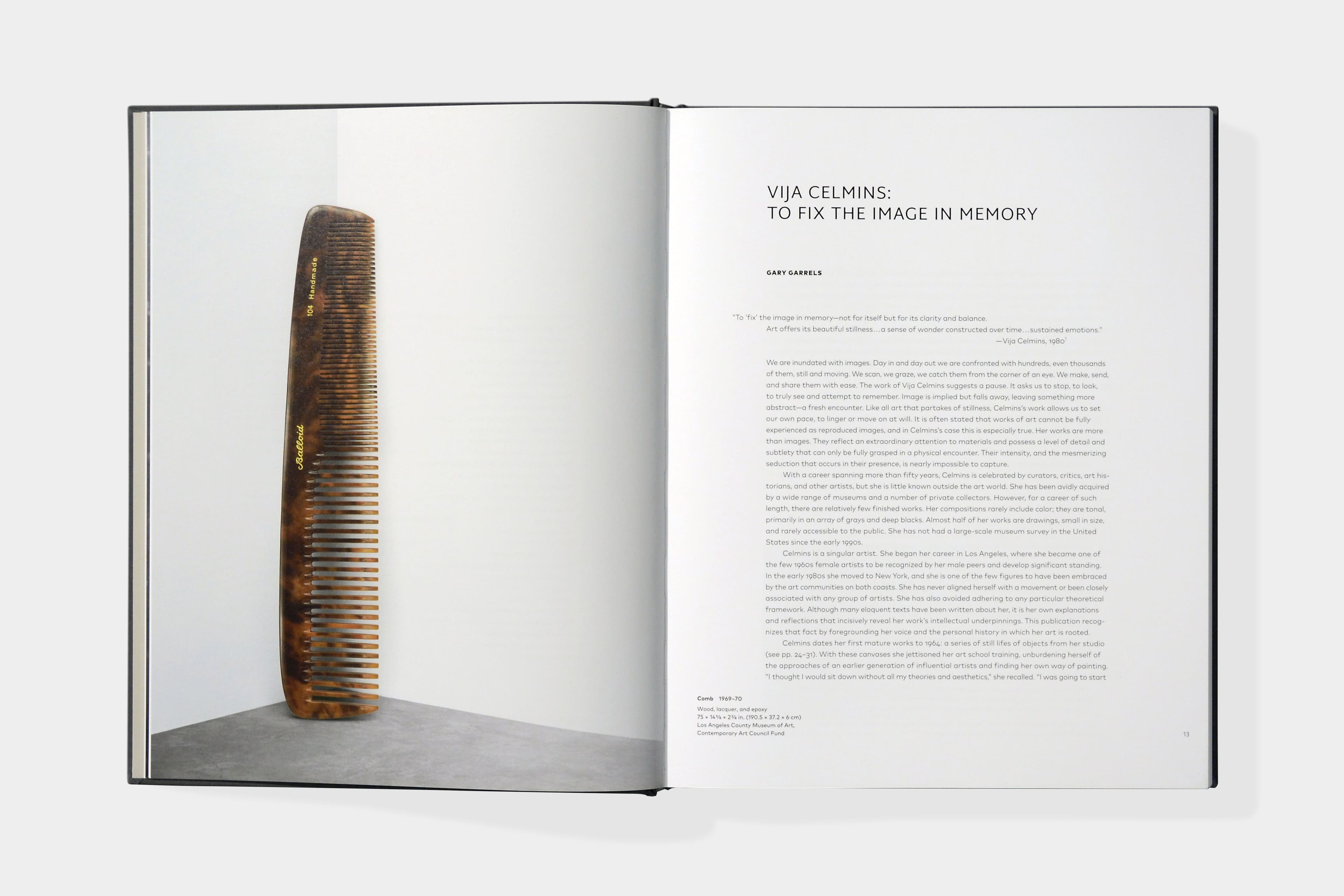 Vija Celmins: To Fix The Image In Memory - image