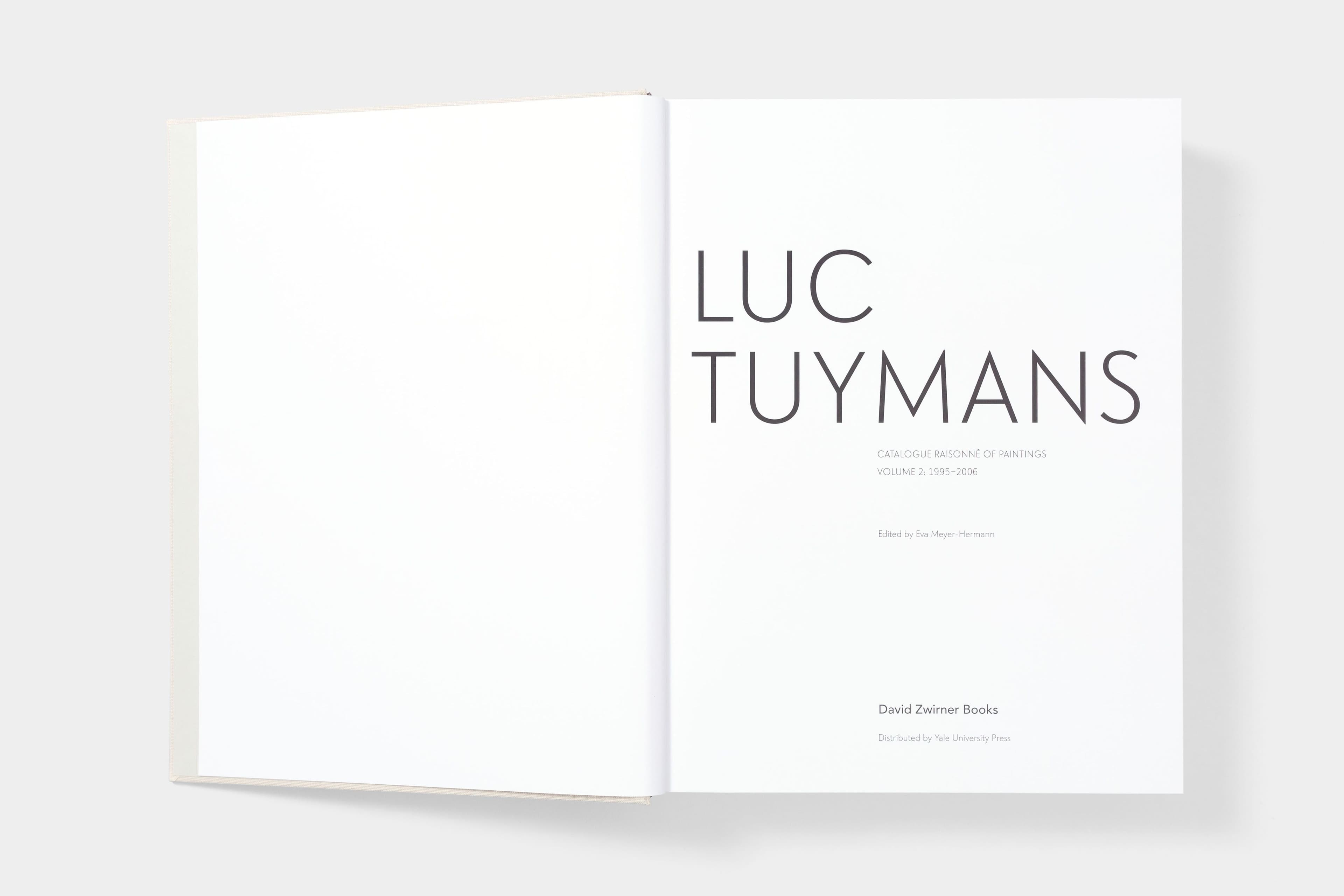 Luc Tuymans: Catalogue Raisonné of Paintings - image