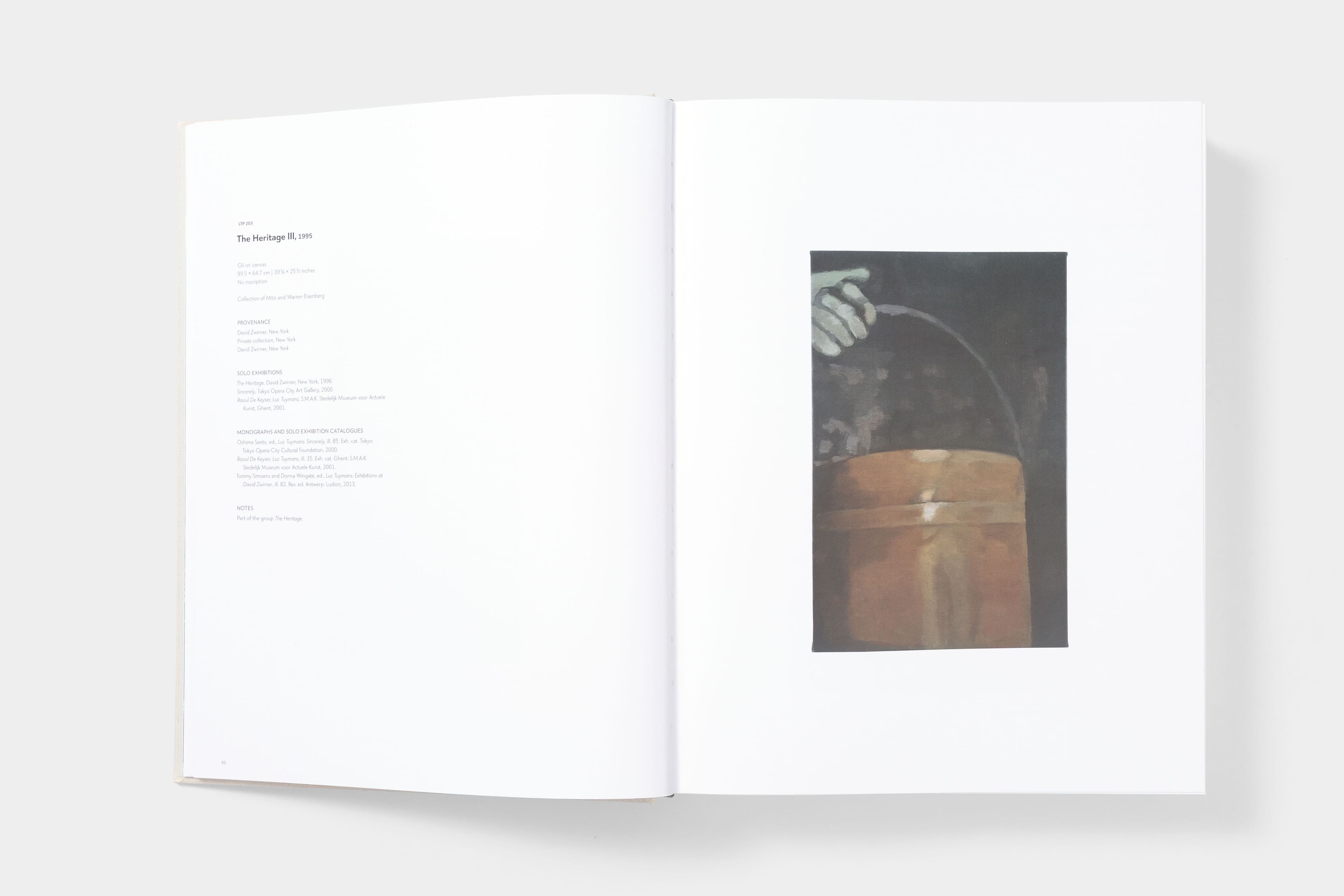 Luc Tuymans: Catalogue Raisonné of Paintings - image