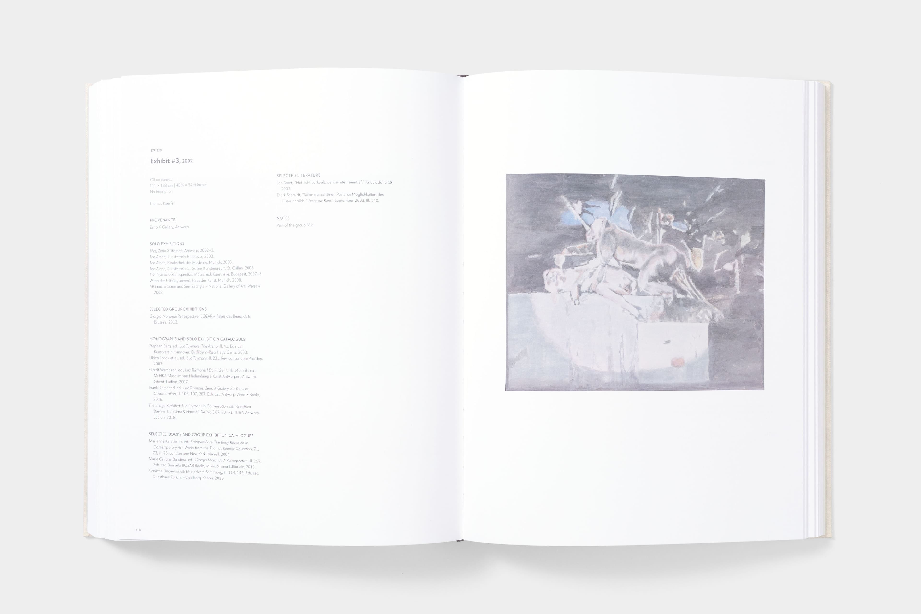 Luc Tuymans: Catalogue Raisonné of Paintings - image